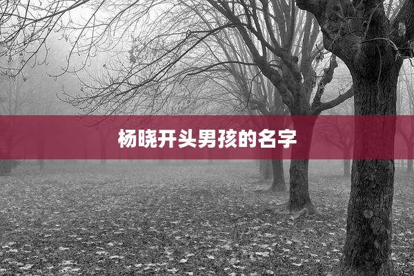 杨晓开头男孩的名字