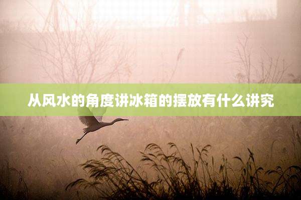 从风水的角度讲冰箱的摆放有什么讲究