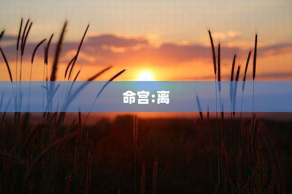 命宫:离
