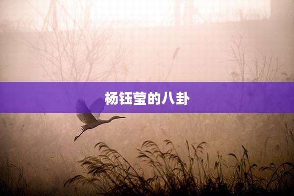 杨钰莹的八卦