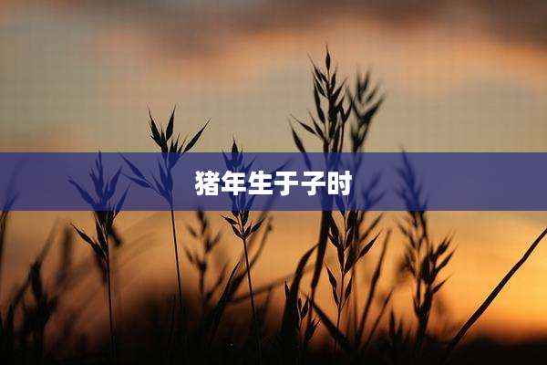 猪年生于子时