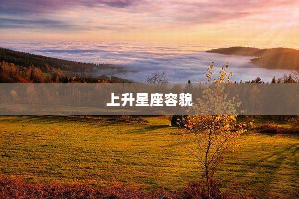 上升星座容貌