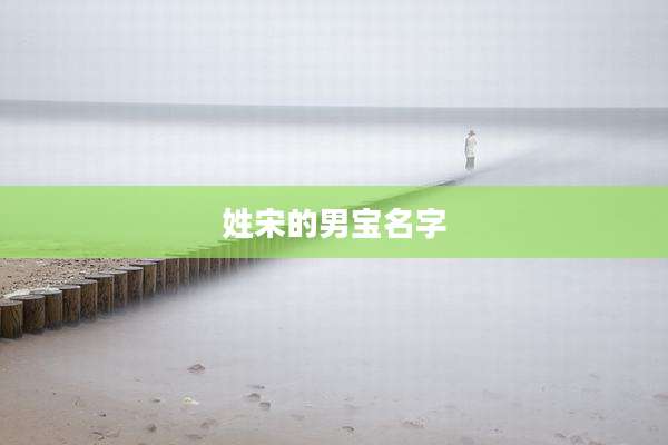 姓宋的男宝名字