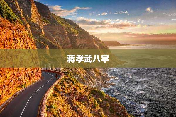 蒋孝武八字