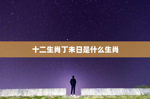 十二生肖丁未日是什么生肖