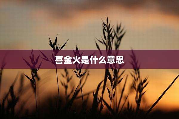 喜金火是什么意思