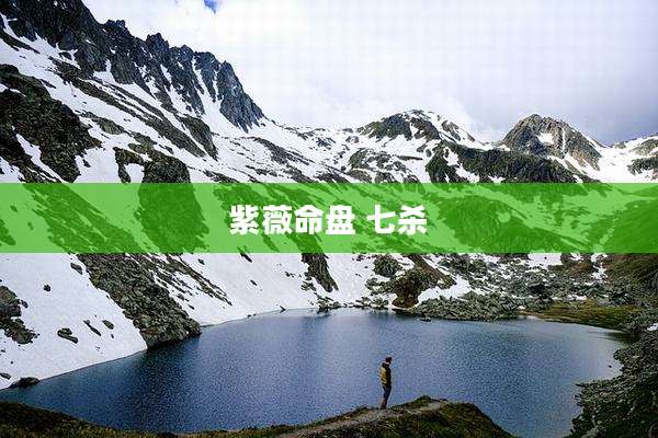 紫薇命盘 七杀