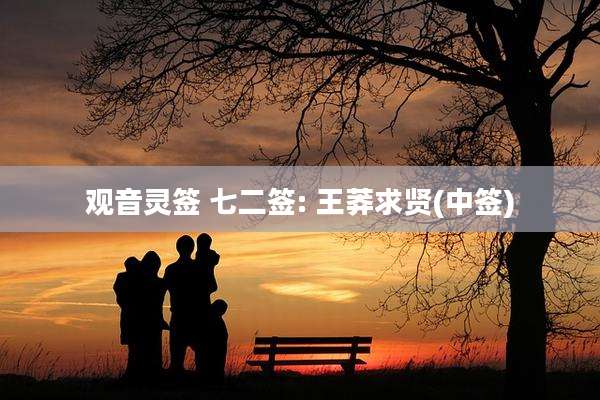 观音灵签 七二签: 王莽求贤(中签)