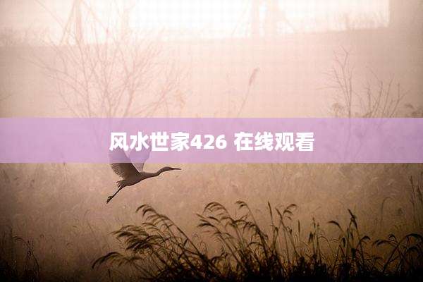 风水世家426 在线观看