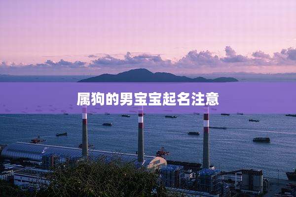 属狗的男宝宝起名注意