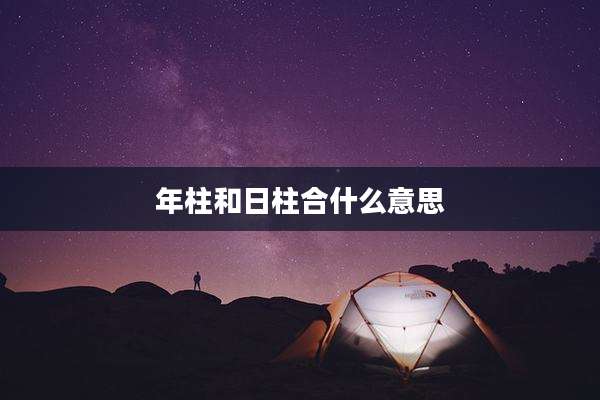年柱和日柱合什么意思