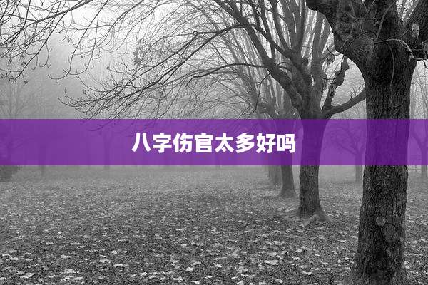 八字伤官太多好吗