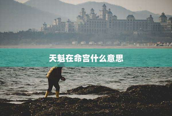 天魁在命宫什么意思