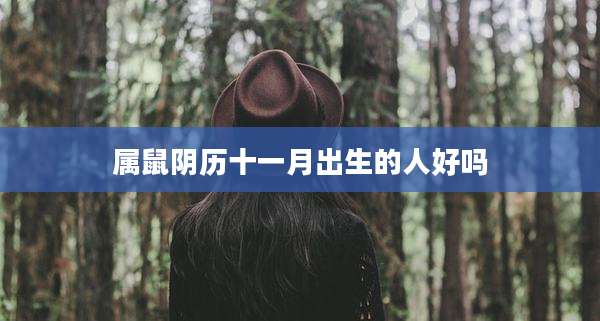 属鼠阴历十一月出生的人好吗