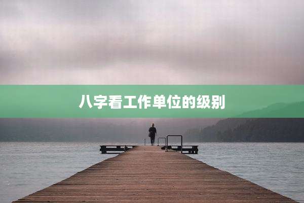 八字看工作单位的级别