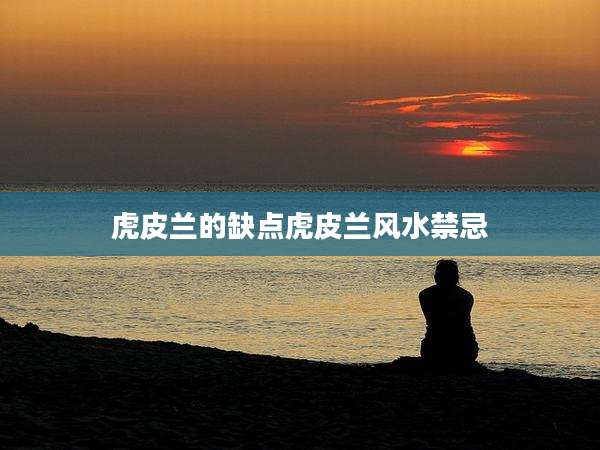 虎皮兰的缺点虎皮兰风水禁忌