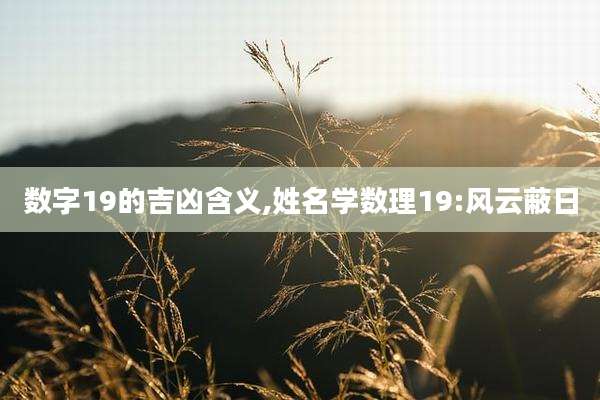 数字19的吉凶含义,姓名学数理19:风云蔽日