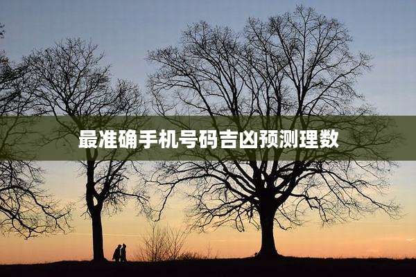最准确手机号码吉凶预测理数