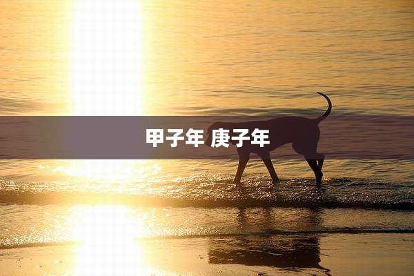 甲子年 庚子年