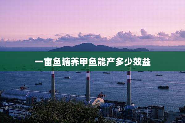 一亩鱼塘养甲鱼能产多少效益