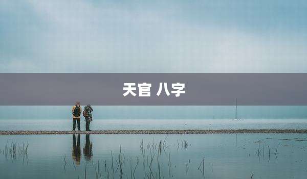 天官 八字