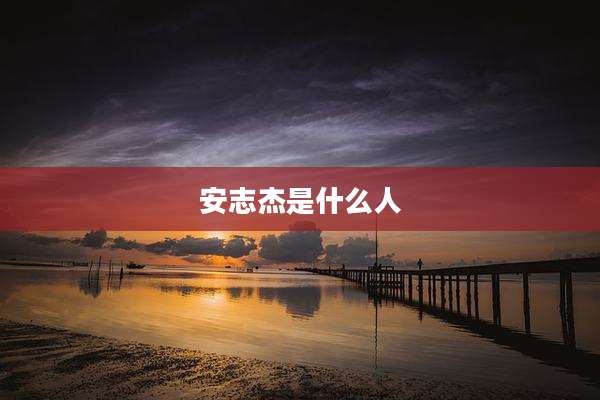 安志杰是什么人