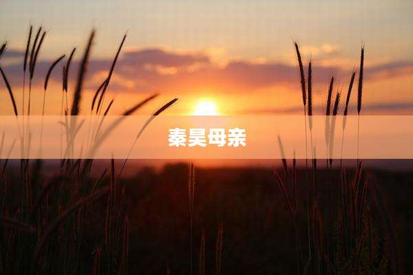 秦昊母亲