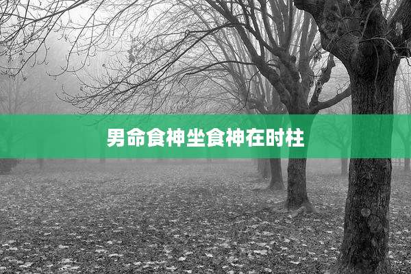 男命食神坐食神在时柱