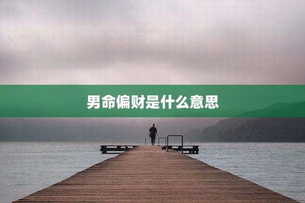 男命偏财是什么意思