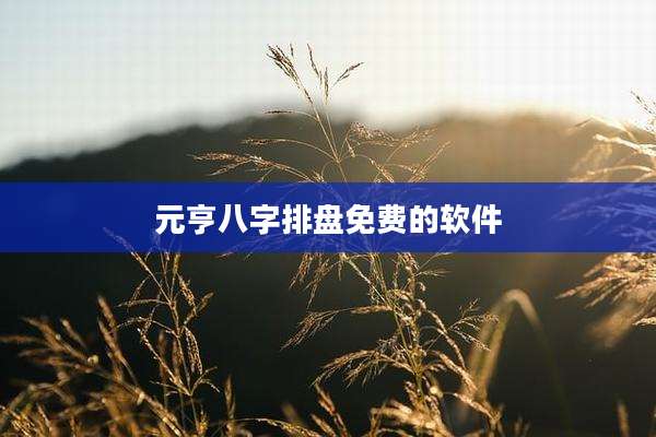 元亨八字排盘免费的软件