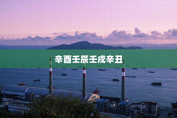 辛酉壬辰壬戌辛丑