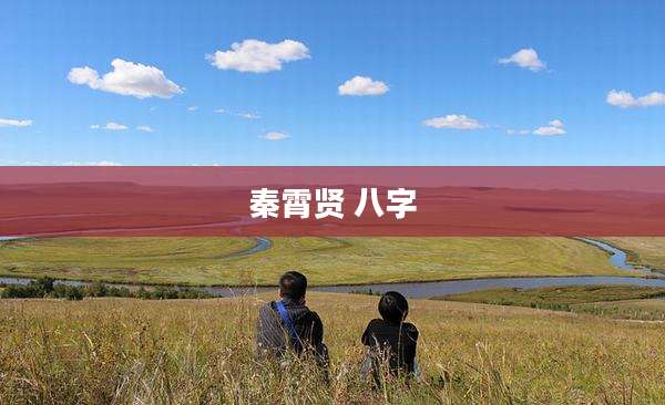 秦霄贤 八字
