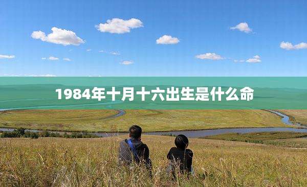 1984年十月十六出生是什么命
