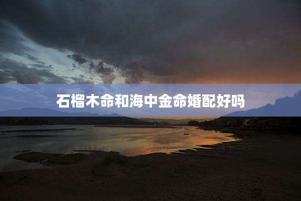 石榴木命和海中金命婚配好吗