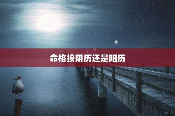 命格按阴历还是阳历