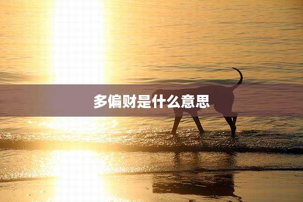 多偏财是什么意思