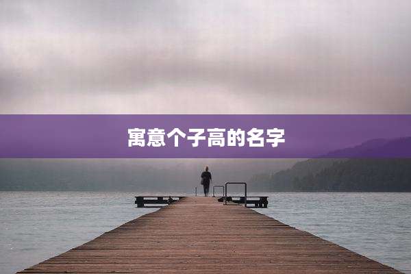 寓意个子高的名字