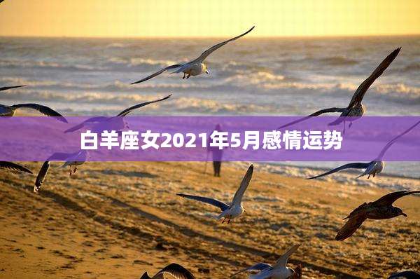白羊座女2021年5月感情运势