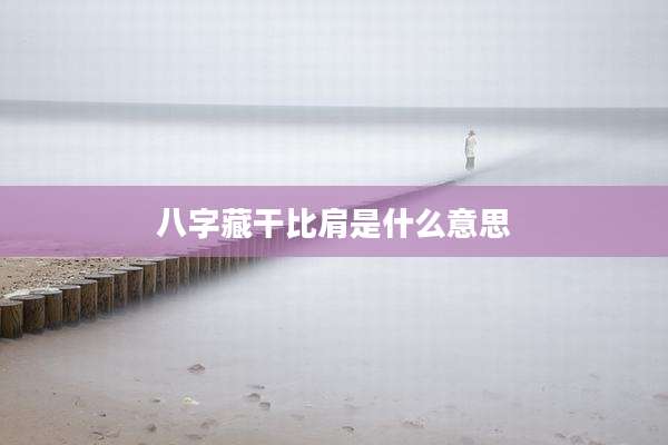 八字藏干比肩是什么意思