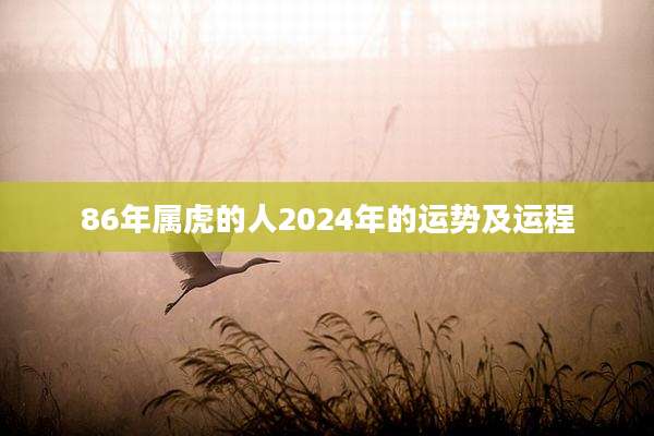 86年属虎的人2024年的运势及运程