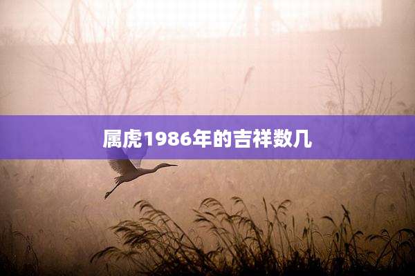 属虎1986年的吉祥数几