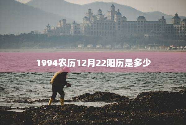 1994农历12月22阳历是多少