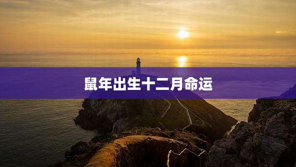 鼠年出生十二月命运