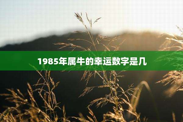 1985年属牛的幸运数字是几