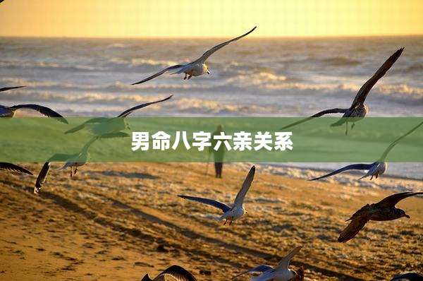 男命八字六亲关系