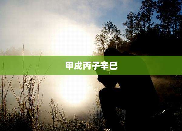 甲戌丙子辛巳