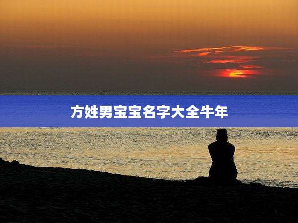 方姓男宝宝名字大全牛年