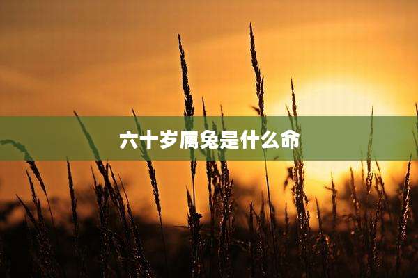 六十岁属兔是什么命