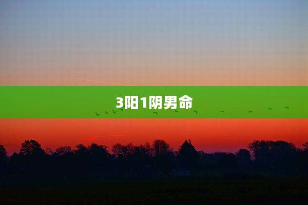 3阳1阴男命