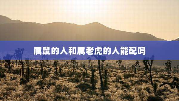 属鼠的人和属老虎的人能配吗